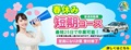 春休み短期コース